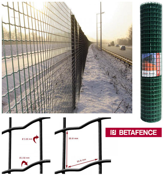 Rete FORTINET PROTECT